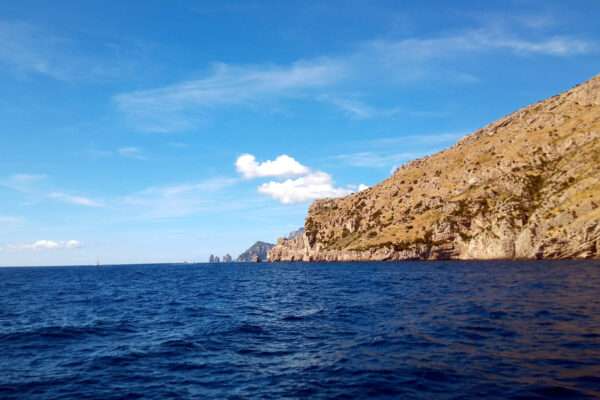 Punta Campanella Marine Protected Area