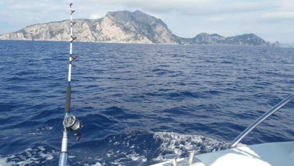 Sport fishing Sorrento Coast